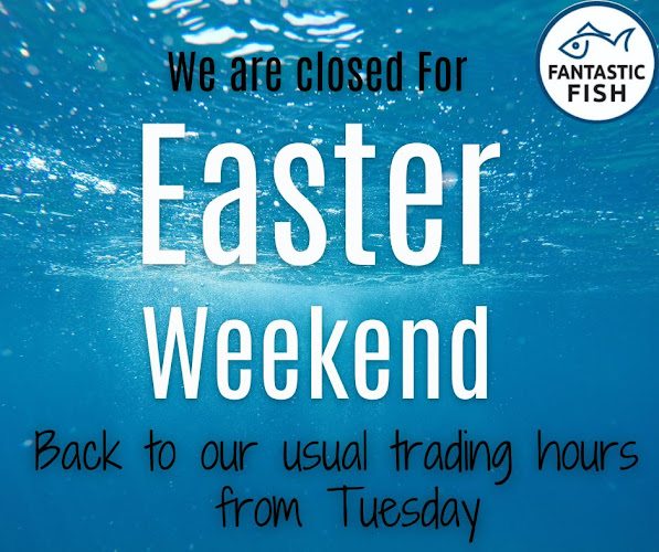 Comentarii opinii despre Fantastic Fisheries Worcester