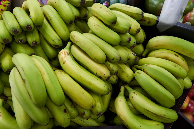 Opinii despre FreshStop Bird Sanctuary în Pietermaritzburg - Hospitality and gastronomy