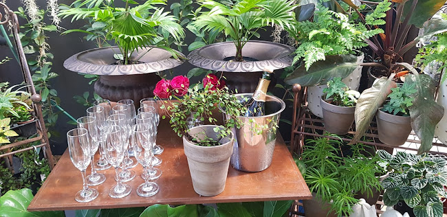 Alice in Waterkloof - Hospitality and gastronomy