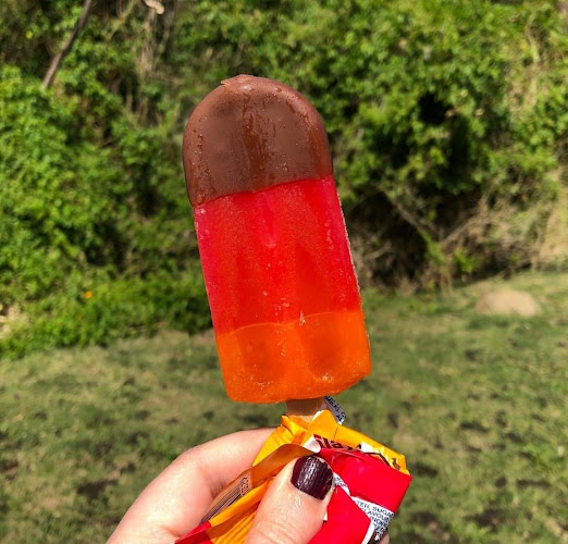 Gatti Ice Cream-EL Ice Cream Distributors CC - Hospitality and gastronomy