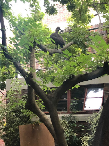 Comentarii opinii despre Pool Caffe