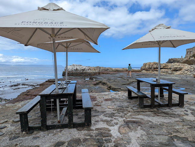 Bientang's Cave Restaurant & Wine Bar - Hospitality and gastronomy