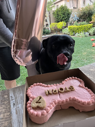 Hound & Home Dog Bakery - Hospitality and gastronomy