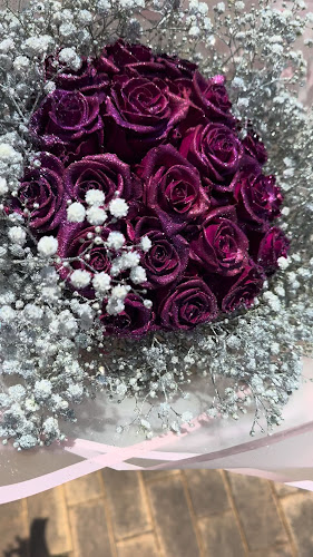 Comentarii opinii despre Mimosa Blomme