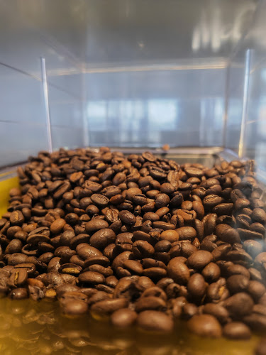 Songozwi St, Louis Trichardt, 0920