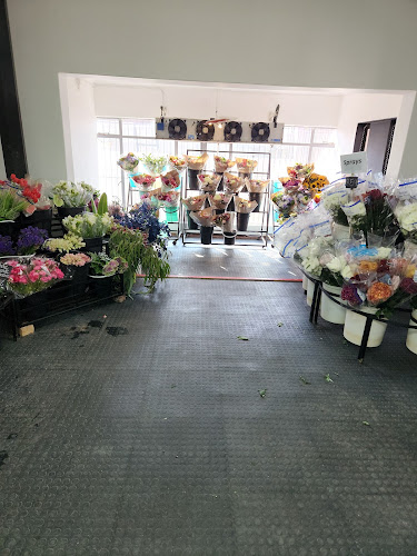 Colour Country Flowermarket - Krugersdorp