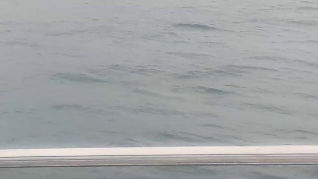 Opinii despre John Dory's Wilson's Wharf în Durban - Hospitality and gastronomy