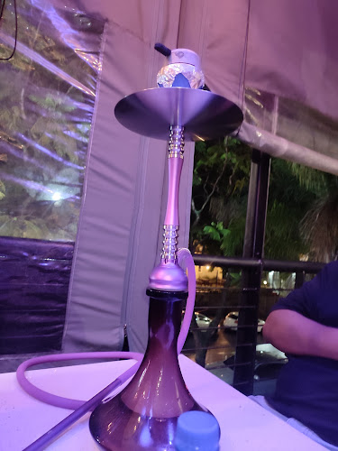 Arabian Cafe - Hospitality and gastronomy