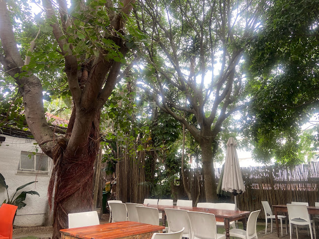 Opinii despre St. Clements Restaurant în Durban - Hospitality and gastronomy