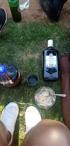 Comentarii opinii despre KUVUKILAND