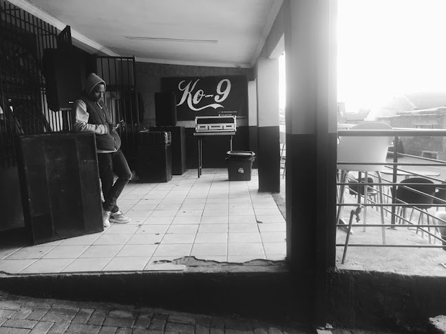 Alex Ko9 - Hospitality and gastronomy