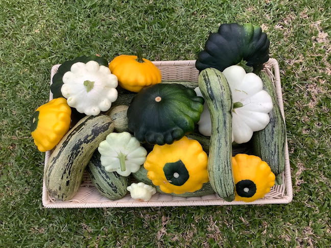 Comentarii opinii despre Uncles Kitchen