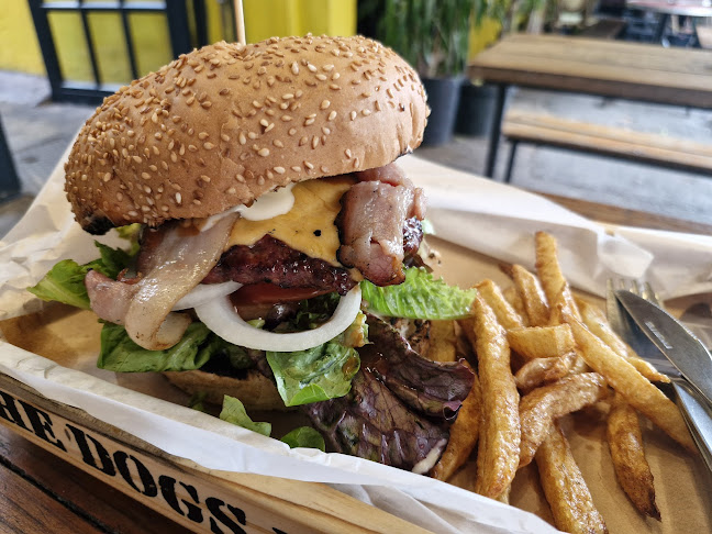 The Dog's Bollocks at YARD - Cape Town