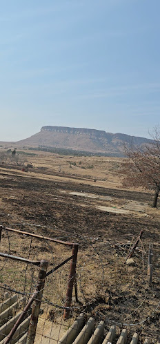 Wrap It Up Café Harrismith