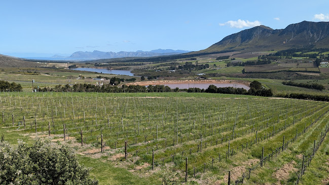 The Restaurant at Newton Johnson - Hospitality and gastronomy