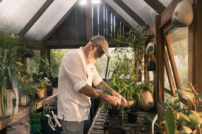 Comentarii opinii despre Terrarium Restaurant