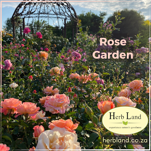 The Herb Cafe - Midrand