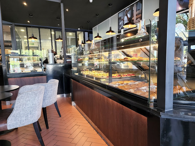 Comentarii opinii despre PAUL