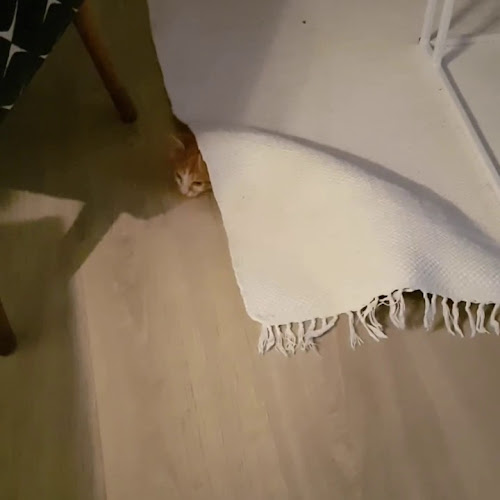 Opinii despre Cafe du Jean în Cape Town - Hospitality and gastronomy