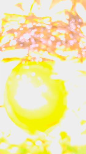 Acid Food & Wine Bar - Hospitality and gastronomy