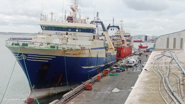 Sea Harvest Factory Shop - Hospitality and gastronomy