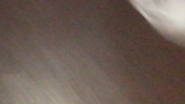 Phoenix - Hospitality and gastronomy