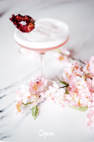 Opera Bar Lounge - Hospitality and gastronomy