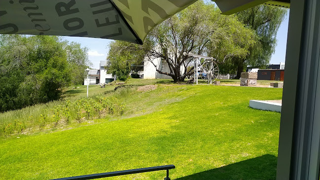 Comentarii opinii despre Red Ox Steakhouse