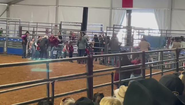 Comentarii opinii despre Rodeo Spur Halaal