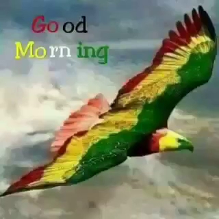 Opinii despre KFC Selcourt în Springs - Hospitality and gastronomy