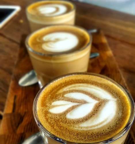 Stellski Café & Coffee - Hospitality and gastronomy