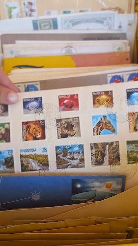 Comentarii opinii despre Stellenbosch Dorp Street Sunday Market