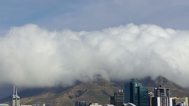 Opinii despre Terrarium Restaurant în Cape Town - Hospitality and gastronomy