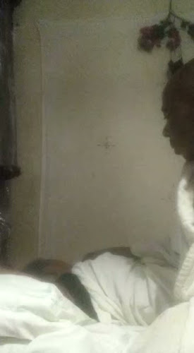 Oasis Tropical Restaurant