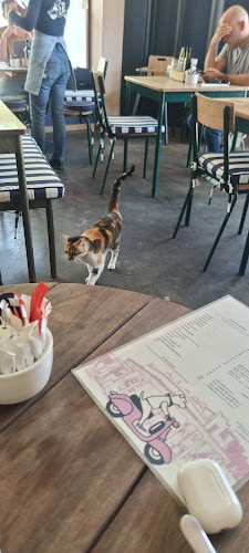 Opinii despre Stellski Café & Coffee în Cape Town - Hospitality and gastronomy