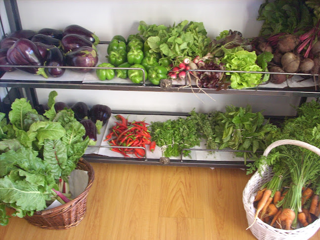 Opinii despre Gogo's Deli at Italo's în Cape Town - Hospitality and gastronomy