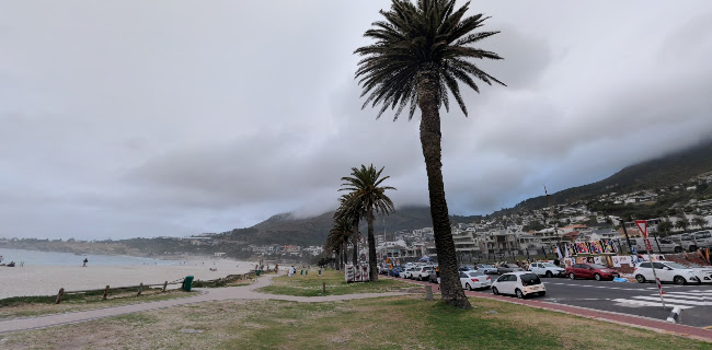 Surfshack by Kove Collection