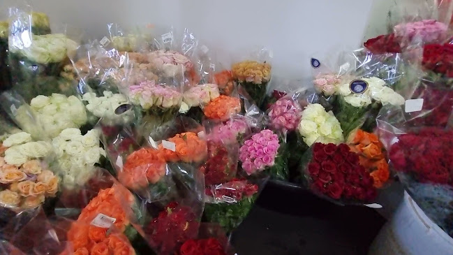 Colour Country Flowermarket - Hospitality and gastronomy