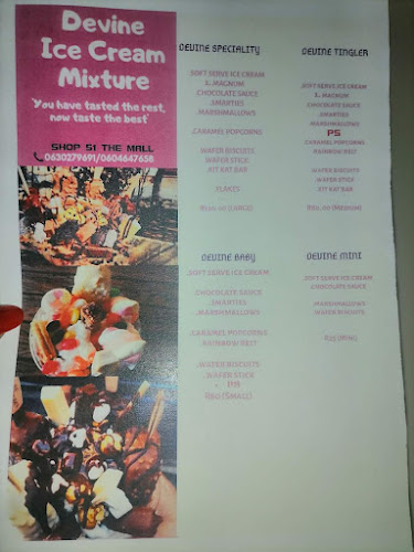 Devine Ice Cream Mixture - Hospitality and gastronomy