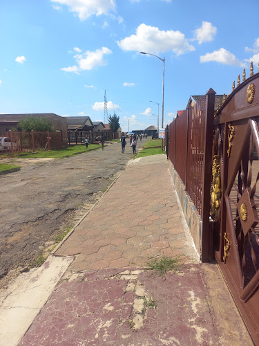 Wandy's Chisanyama - Hospitality and gastronomy