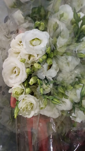 Klopper St, Rustenburg, 0029