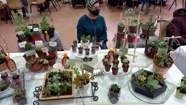 Opinii despre Botanical Blooms în Gqeberha - Hospitality and gastronomy