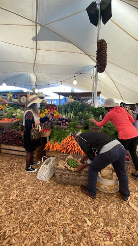 Fire and Smoke - Cape Town