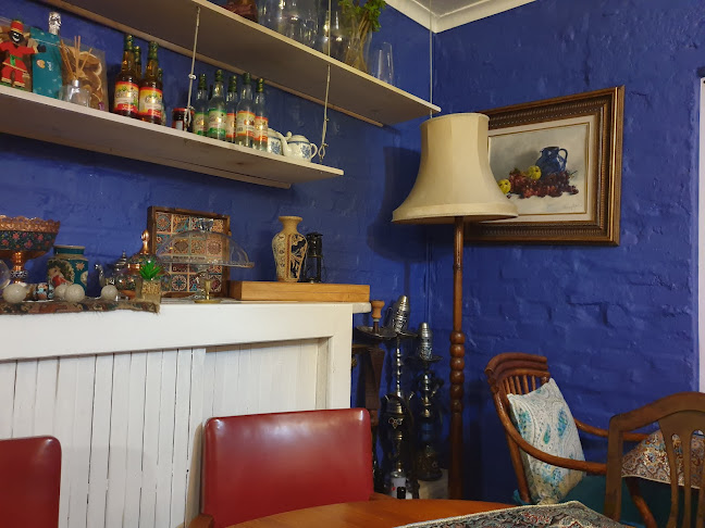 Persian Peacock - Cape Town