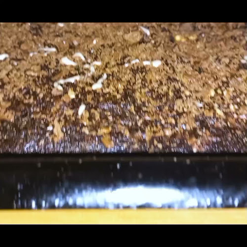 Zenith D'lights - Hospitality and gastronomy