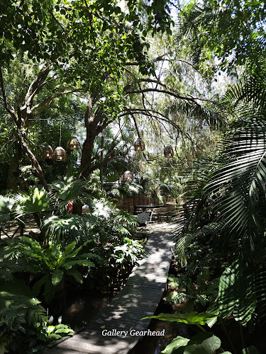 Neighbourhood Cafe & bar - Durban North