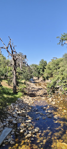 Comentarii opinii despre Aunty Sophie se Kombuis