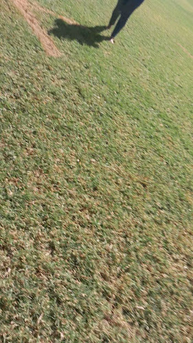 Opinii despre Food Lover's Market Upington în Upington - Hospitality and gastronomy