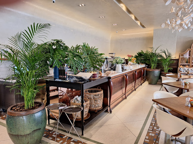 tashas Brooklyn - Hospitality and gastronomy