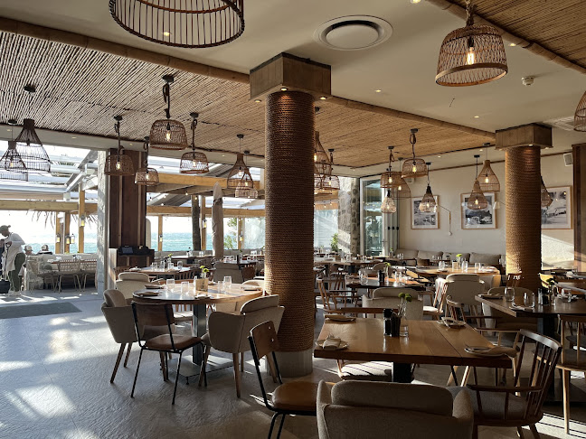 Comentarii opinii despre Surfshack by Kove Collection